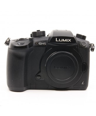 PANASONIC DC-GH5